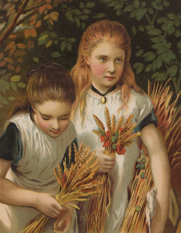 Genç Toplayıcılar (chromolitho) by English School