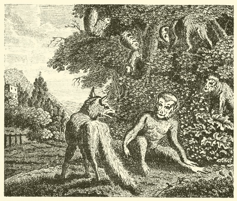 Maymun ve tilki (gravür) by English School