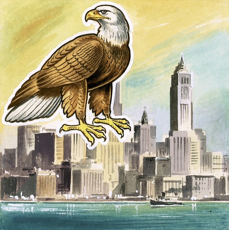 The bald eagle, emblem of the United States by English School