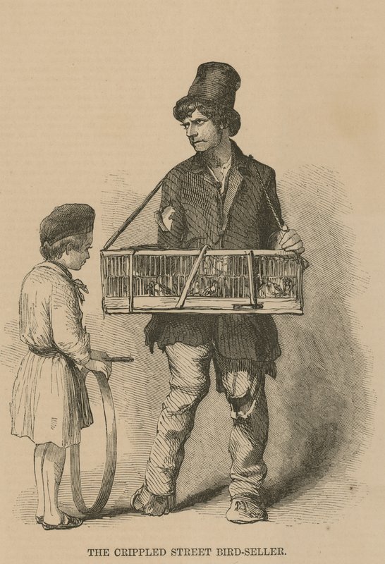 Sakat sokak kuşu satıcısı by English School