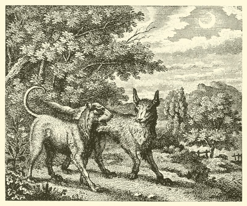 Köpek ve kurt (gravür) by English School