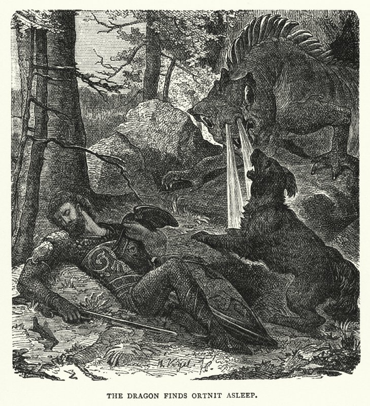Ejderha Ortnit