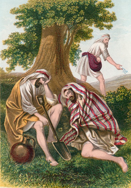 Dara eken düşman by English School