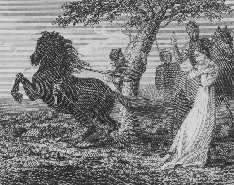 Avustralyalı Brunhilda