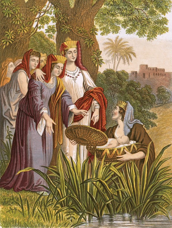 Musa