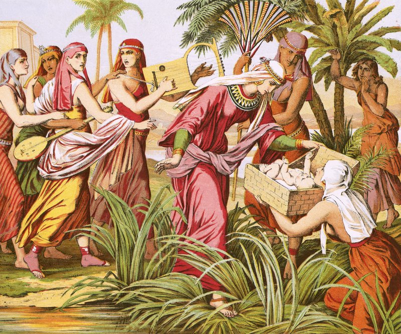 Musa
