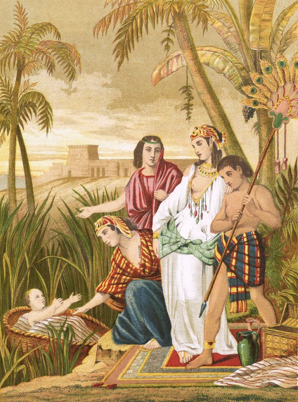 Musa