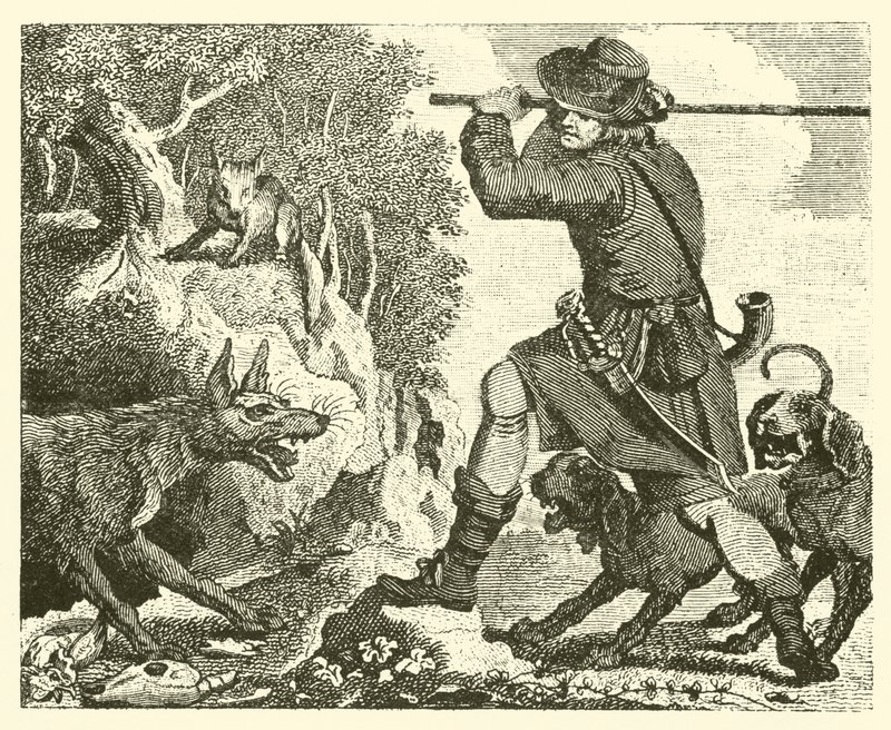 Tilki ve kurt (gravür) by English School