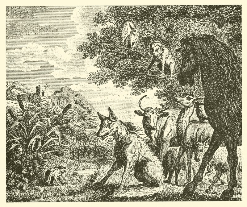 Kurbağa ve tilki (gravür) by English School