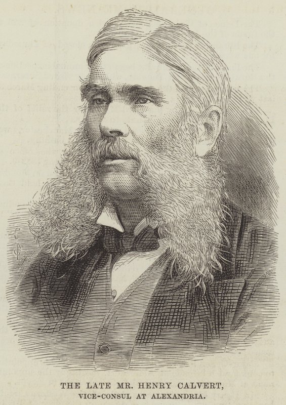 Geç Bay Henry Calvert, İskenderiye