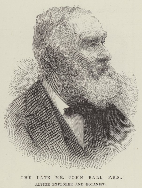 Geç Bay John Ball, FRS, Alp Explorer ve Botanist (gravür) by English School