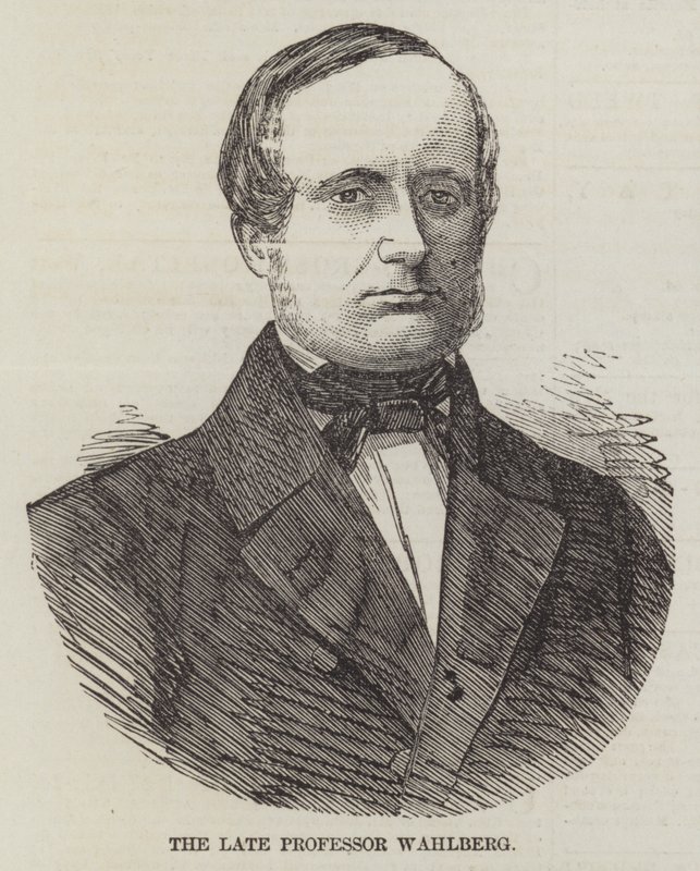 Rahmetli Profesör Wahlberg (gravür) by English School