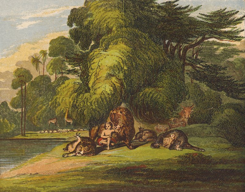 Leopar oğlakla birlikte uzanacak ve küçük bir çocuk onlara önderlik edecek (renkli litho) by English School