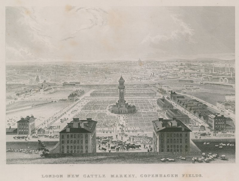 Yeni Metropolitan Sığır Pazarı, Kopenhag Fields, Londra by English School