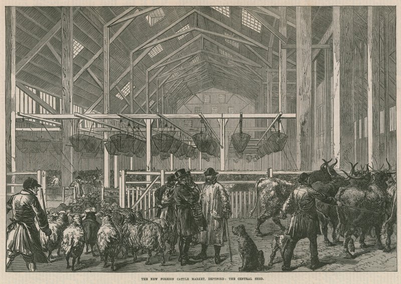 Yeni yabancı sığır pazarı, Deptford, Londra - merkezi baraka by English School
