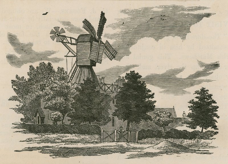 Wimbledon Common