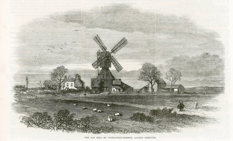 Wimbledon Common