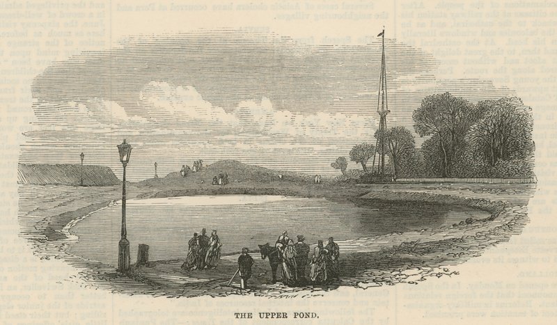 Üst gölet, Hampstead Heath by English School