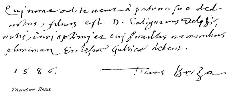 Theodore Beza by English School