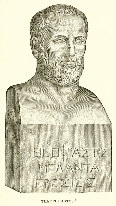 Theophrastos by English School