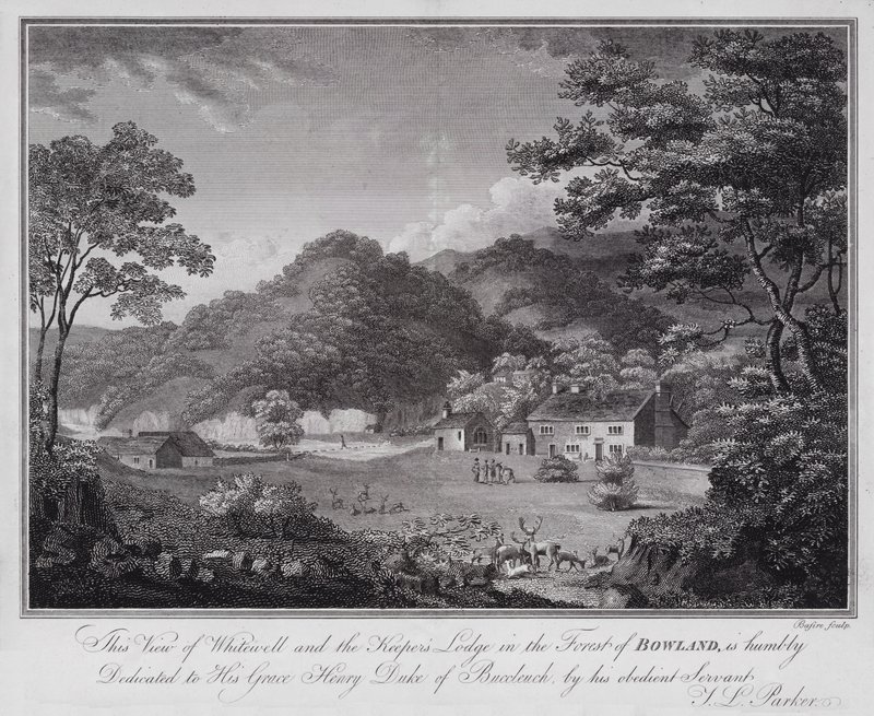 Bowland Ormanı