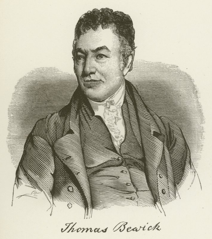 Thomas Bewick (gravür) by English School