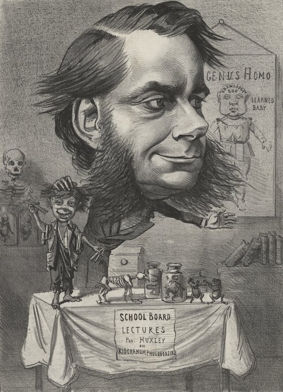 Thomas Henry Huxley, İngiliz biyolog by English School