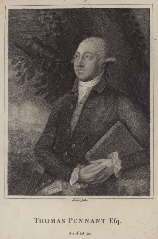 Thomas Pennant, Galli doğa bilimci ve topograf (gravür) by English School