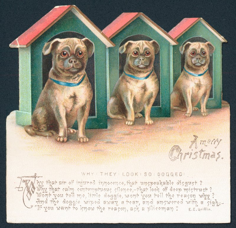 Kulübede Üç Köpek, Noel Kartı by English School