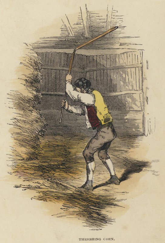 Harmanlı Mısır (renkli gravür) by English School