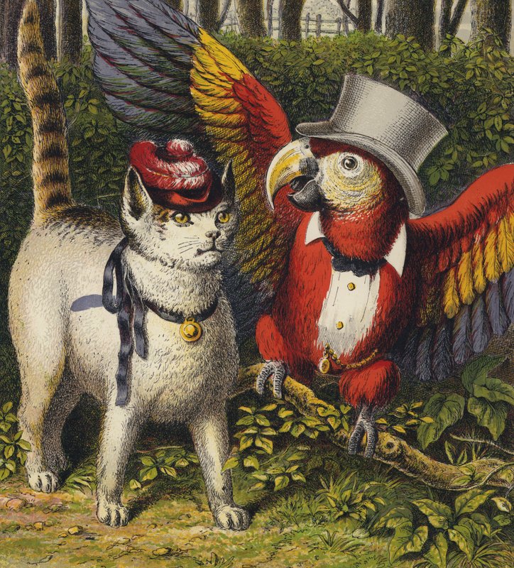 Tittums ve Fido (renkli taş) by English School