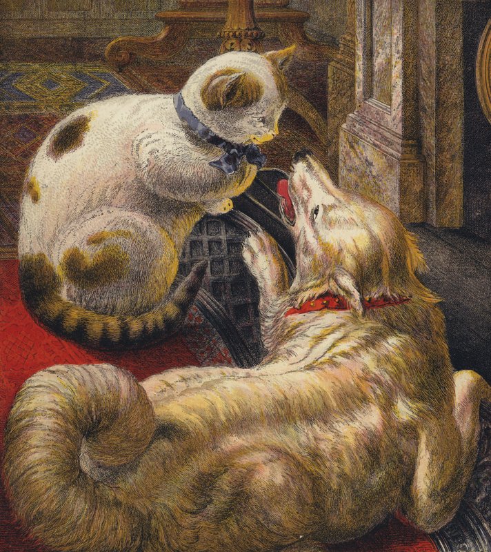 Tittums ve Fido by English School