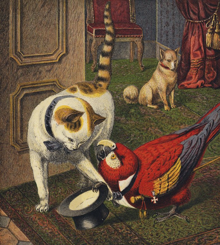 Tittums ve Fido by English School