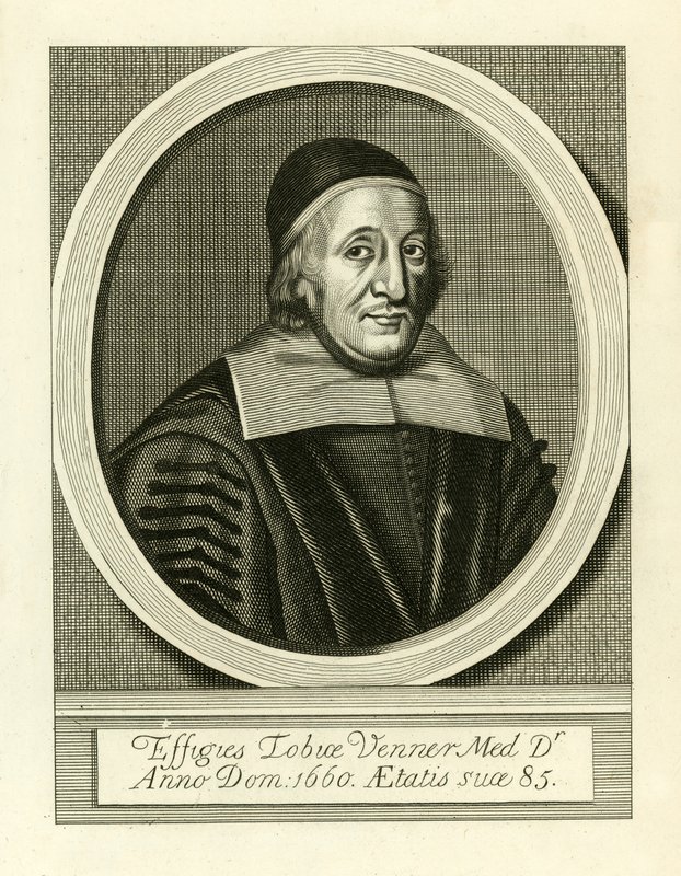 Tobias Arkadaşlar by English School