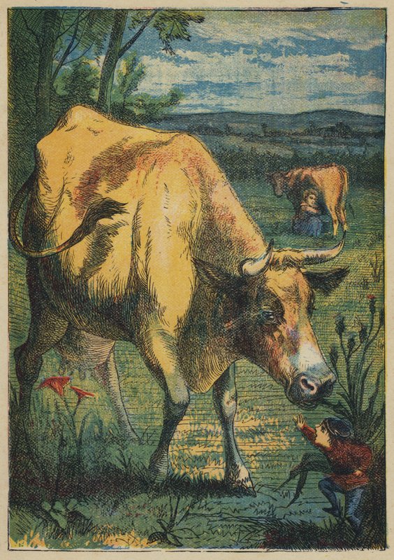 Tom Thumb ve İnek (renkli taş) by English School