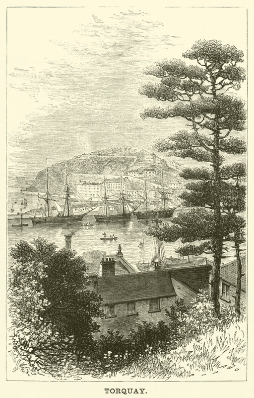 Torquay (gravür) by English School