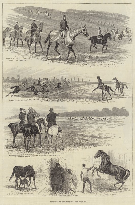 Newmarket