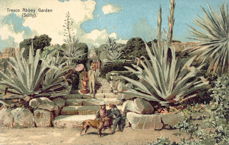 Tresco Abbey Garden, Scilly Adaları, Cornwall (renkli lito) by English School