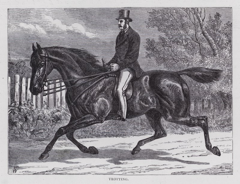 Paça (gravür) by English School