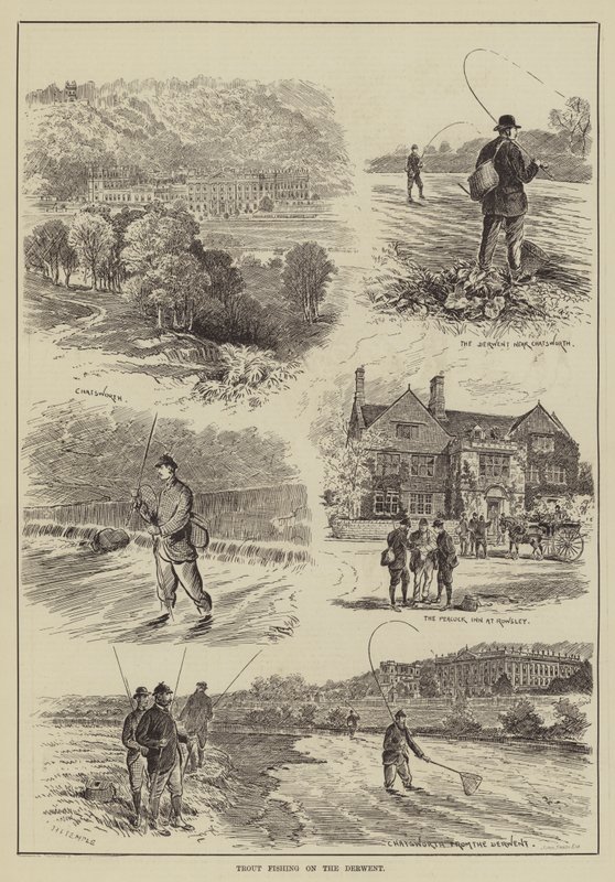Derwent