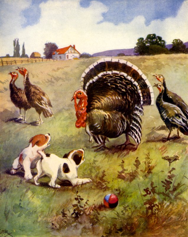 Beladaki Hindiler (renkli taş) by English School