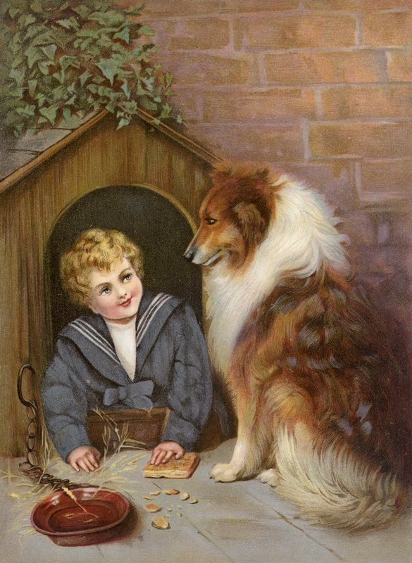 Turned Out - Collie köpeği gibi davranan çocuk (renkli taş baskı) by English School