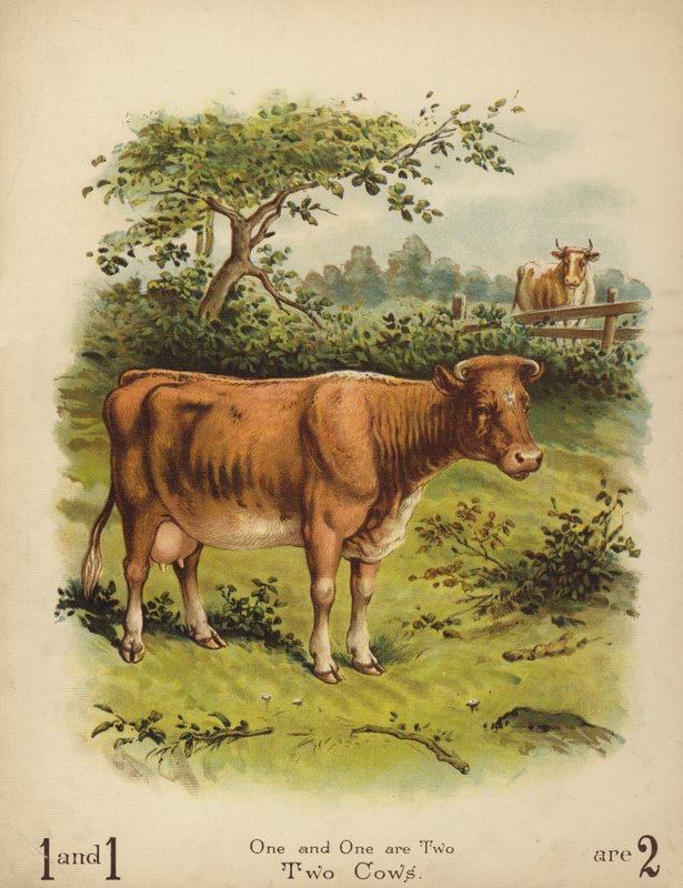 İki İnek (chromolitho) by English School