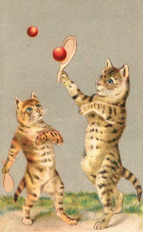 Raket ve topla oynayan iki kedi by English School