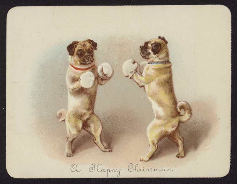 İki köpek boksu (chromolitho) by English School