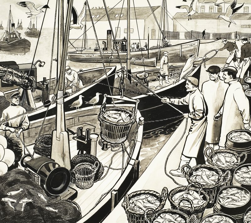 Quayside balık ile tanımlanamayan balıkçı limanı by English School