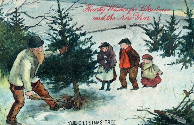 Noel Ağacının Kökünden Sökülmesi, Noel Kartı by English School