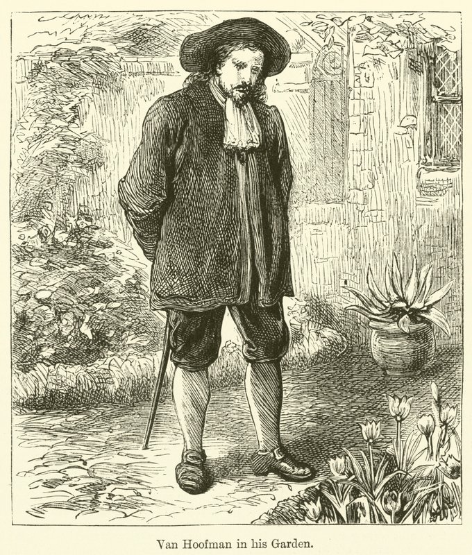 Van Hoofman Bahçesinde (gravür) by English School