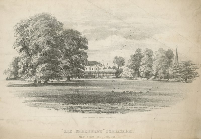 The Shrubbery arazisinden görünüm by English School