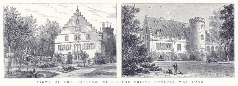 Prens Consort